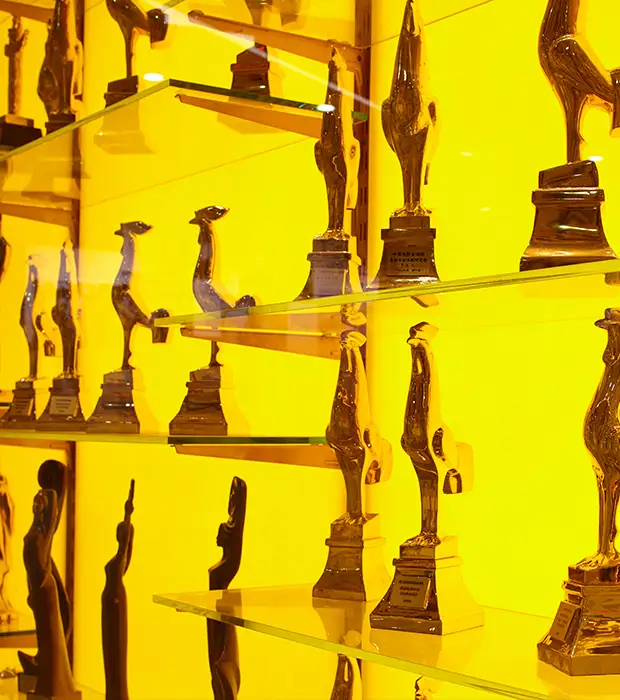 70多年来<br>樱花视频创造了无数个第一